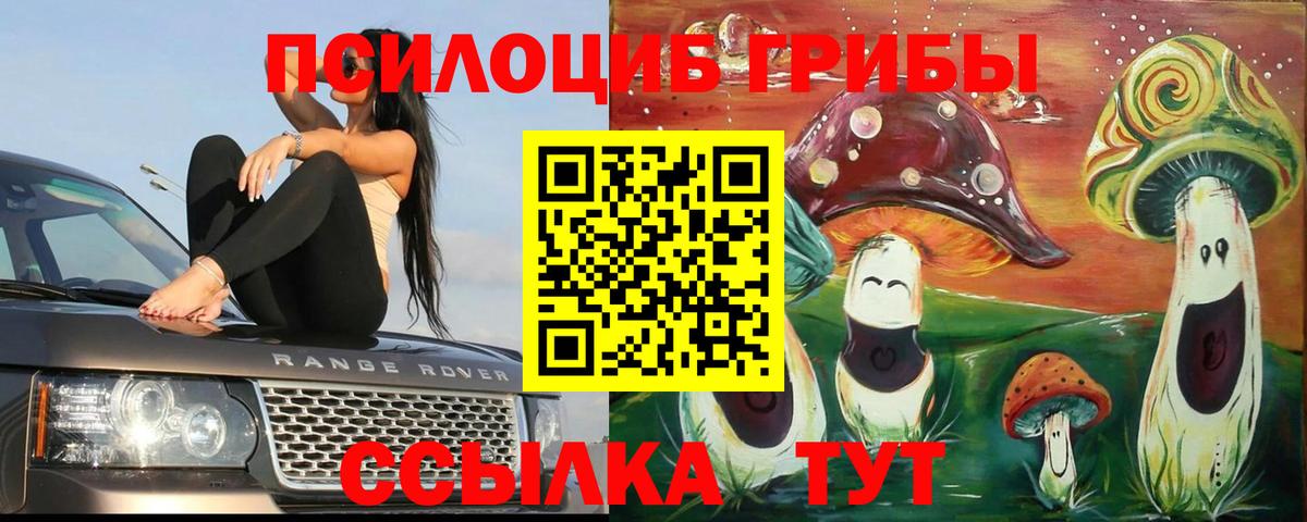 Галлюциногенные грибы мицелий  купить наркотик  Луховицы  Вход с VPN 